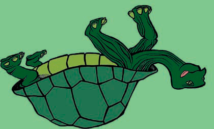 Dead Turtle Records
