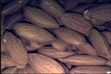 Nuts