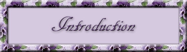 Introduction