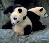 back22.gif (82970 bytes)