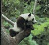 back27.gif (98660 bytes)