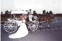 HorseAndBuggyD12A.jpg