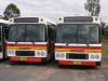 Busways128-129.JPG (181142 bytes)