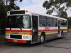 Busways132-2.JPG (188429 bytes)