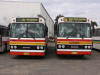 Busways186-185.JPG (180567 bytes)