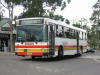 Busways316.JPG (206736 bytes)