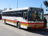 Busways441.JPG (78310 bytes)