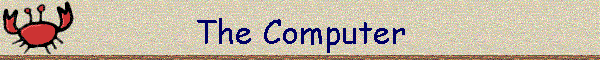 The Computer