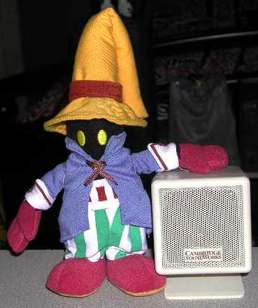 vivi.jpg (22234 bytes)