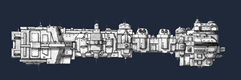 Merchant
