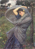 Wind