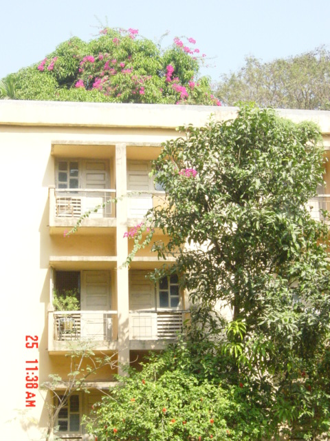 Room in Hostel 1