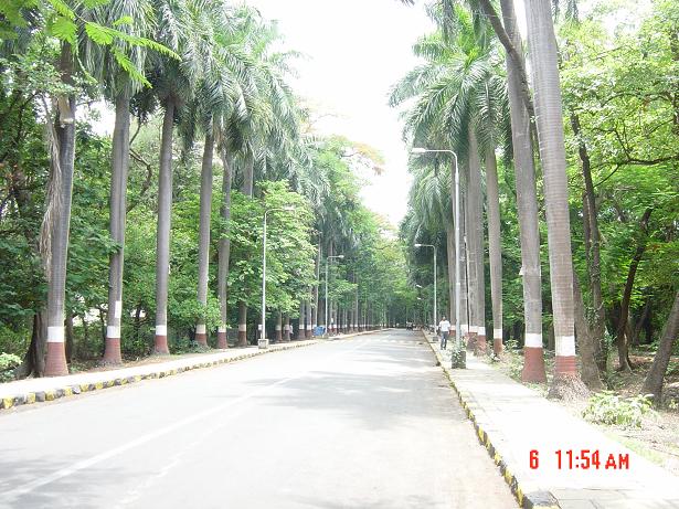 IIT Main Gate Road