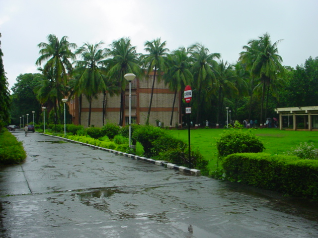 iit-rains