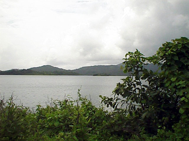 iit-vihar-lake