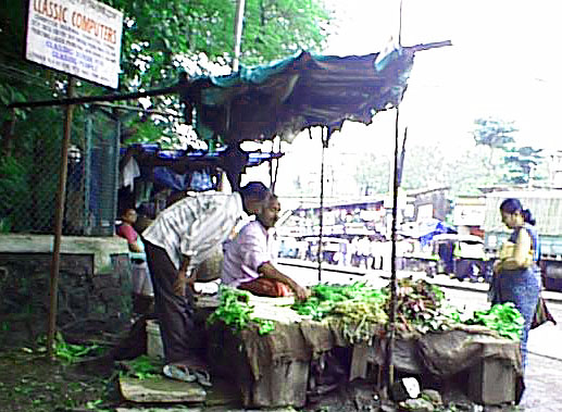 vegstand