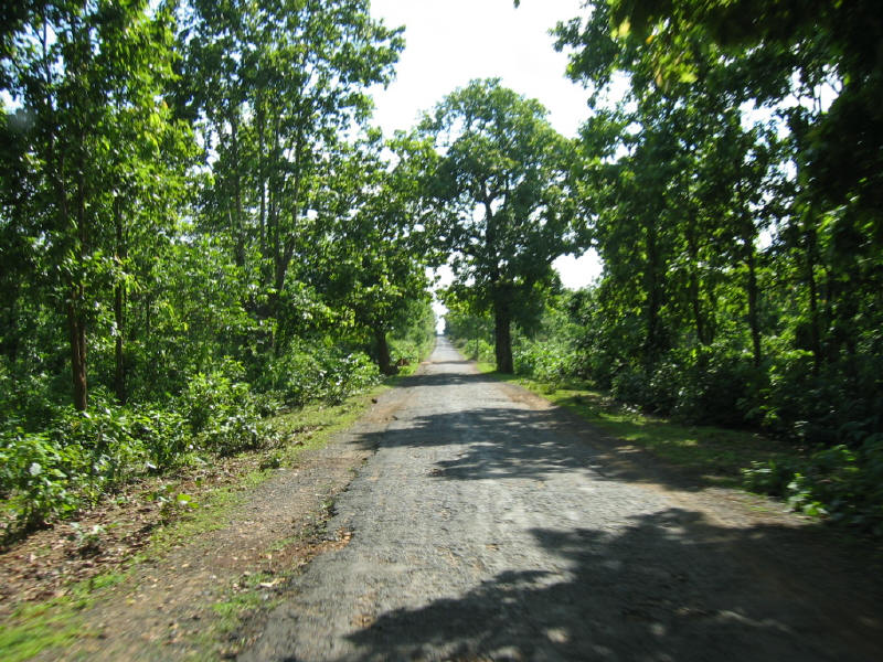 Road to my Village