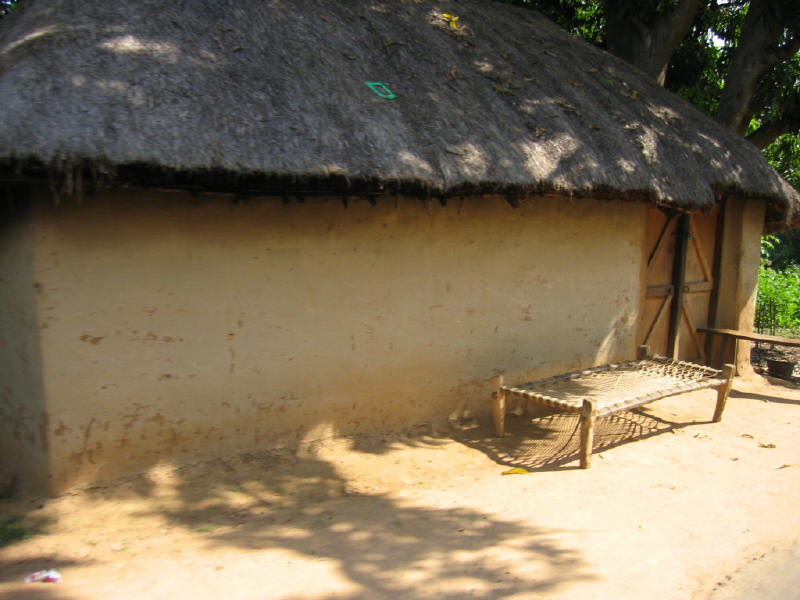 Tribal Home