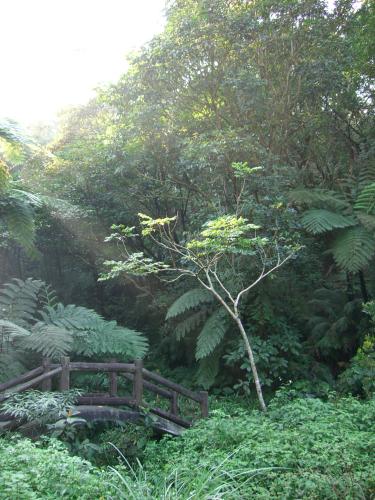 Nature View