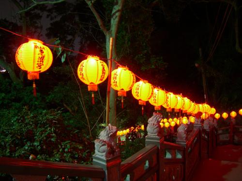 Taipei Lantern Forest