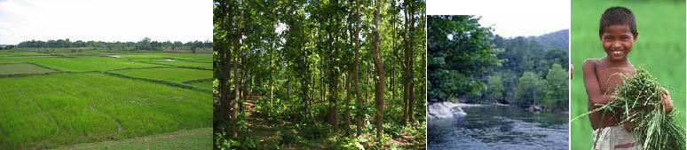 click here to know more about Orissa