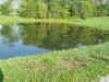 Around the House 013.jpg (1093466 bytes)