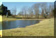 Pond001.jpg (51022 bytes)