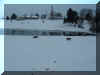 Snowing033.jpg (48861 bytes)