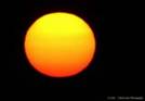 Go to fullsize image