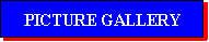 PICTURE GALLERY