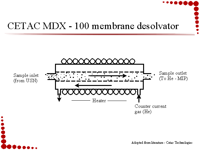 Slide 7