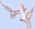 Doves