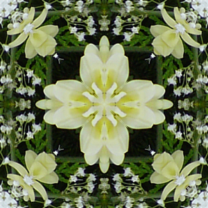 tile 51
