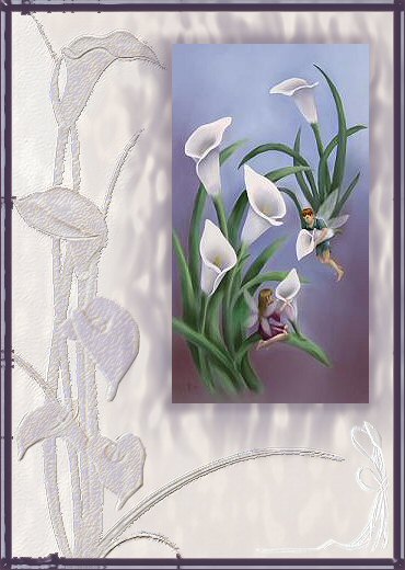 Arumlily Frame