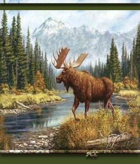 Moose