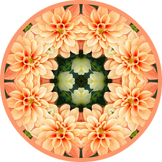 tile 60