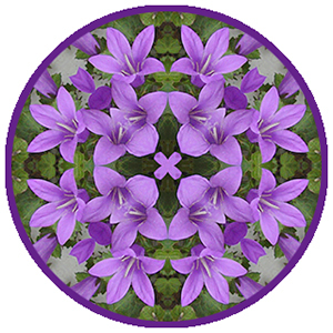 tile 58