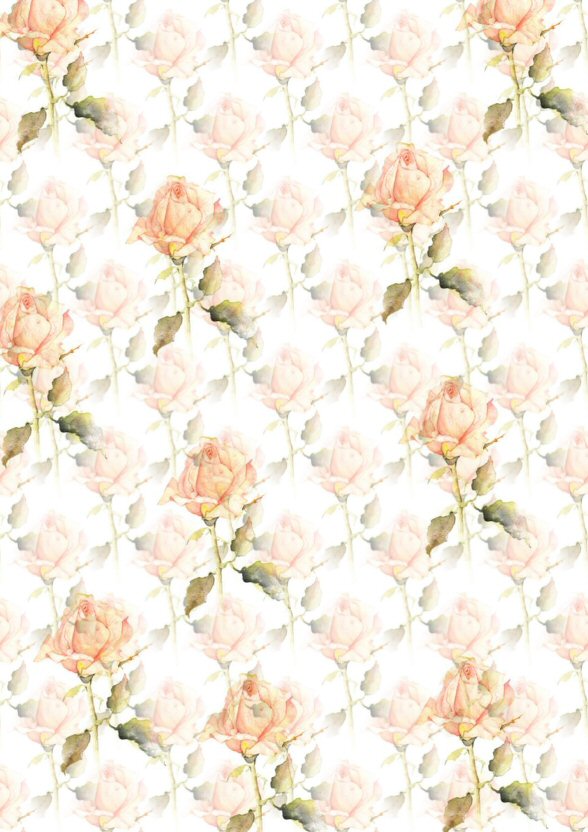 background 13