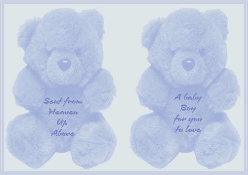baby boys teddy bear insert