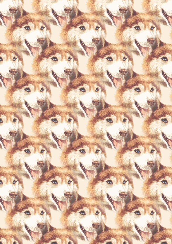 background 9