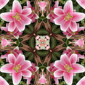 tile 56