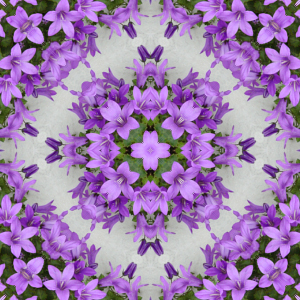 tile 57