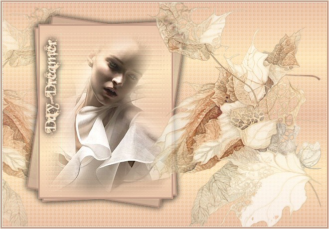 daydreamer tag
