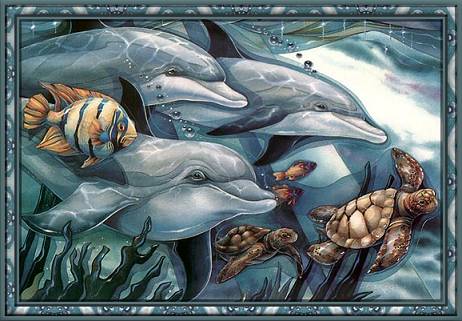 Dolphins