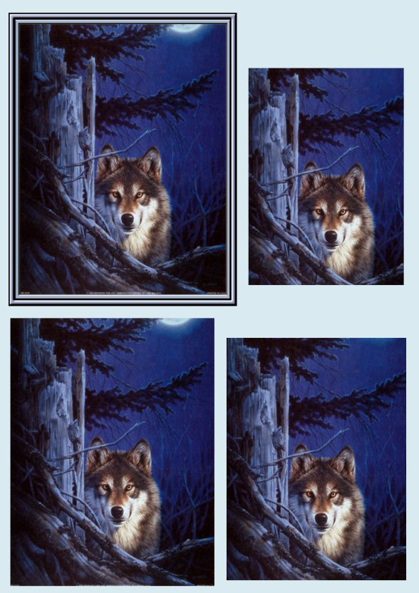 Midnight Wolf Pyramid