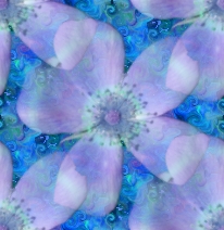 tile 26