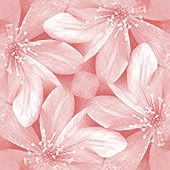 tile 27