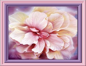 Pink Floral