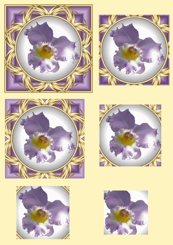 Purple Flower Pyramid