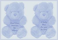 beautiful blue teddy bear insert